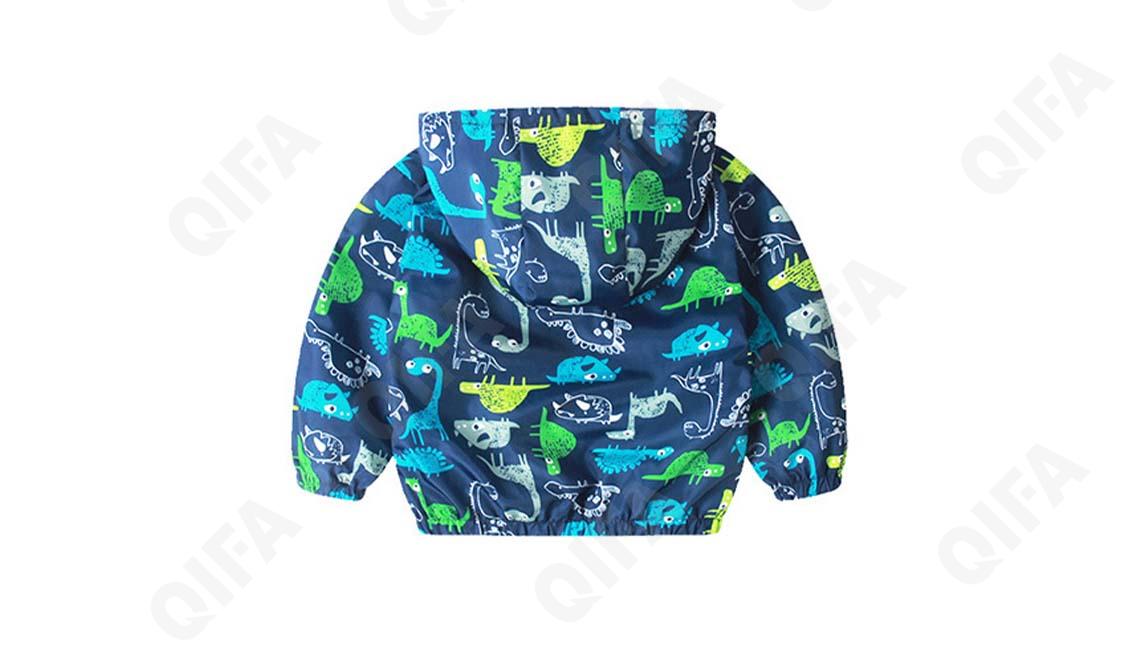 Детская Ветровка CC518_BJ015_247_2576